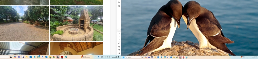 Commercial Property for Sale in Rietfontein A H North West